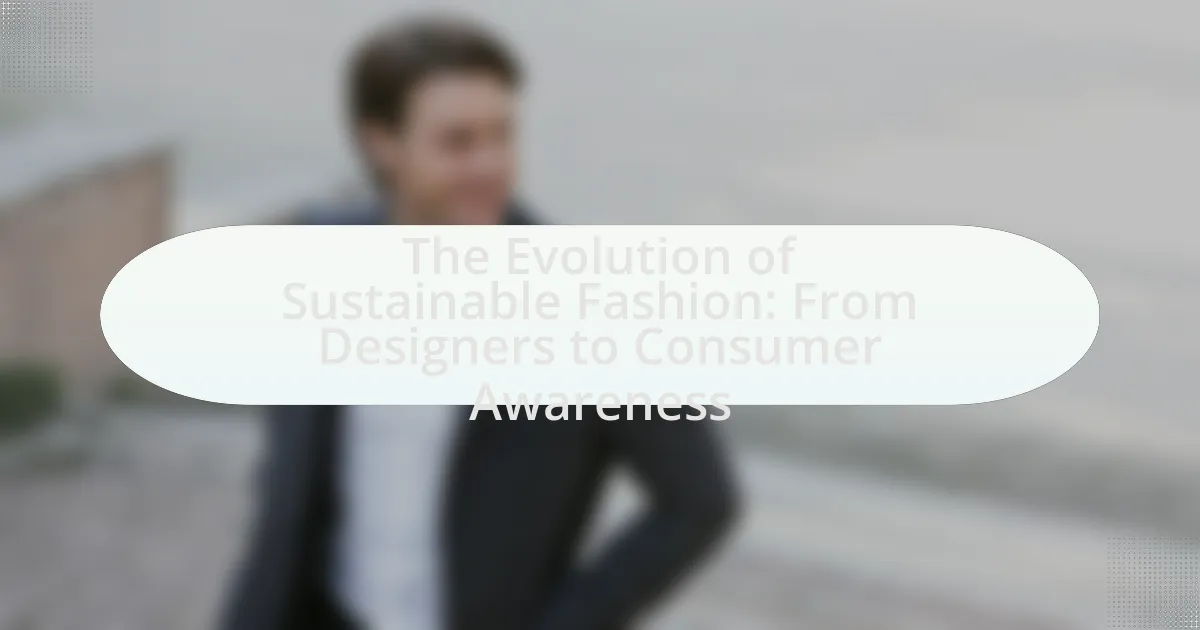 The Evolution of Sustainable Fashion: From Designers to Consumer Awareness