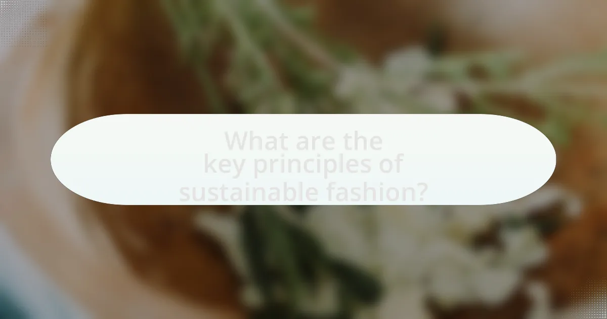 What are the key principles of sustainable fashion?