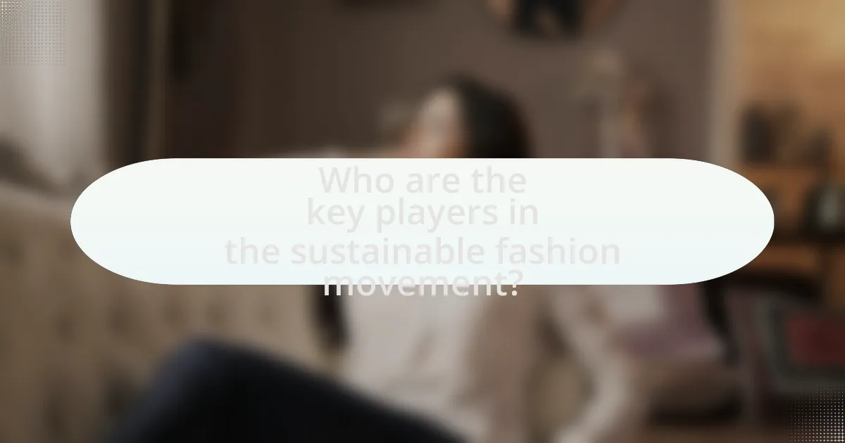 Who are the key players in the sustainable fashion movement?